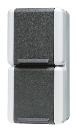 Розетка двухместная JUNG WG800, с заземлением, серый