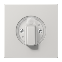 JUNG LS Светло-серая Накладка поворотного механизма